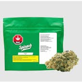 Spinach - Sour Chem - 28G