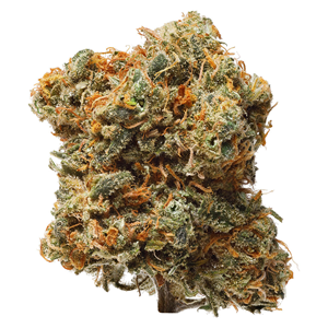 1964 - Blue Dream Flower - 1G