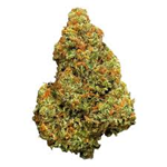 Salt Spring Magic - Salt Spring Love Haze - 14G