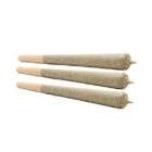 Bc Doobies - Great White Shark Pre-Rolls (3 x 0.5G)