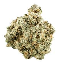 Choklit Park - Citrus Ripper - 7G