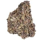 Bonkers - Purple Lemonade - 14G