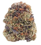 Choklit Park  - Mango Voltage - 7G