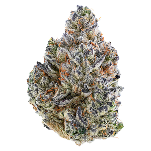 Tribal - Bubble Up - 3.5G