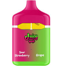 Juicy Hoots - Sour Strawberry and Grape Flavour Flip Disposable Vape - 1G