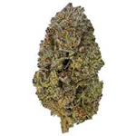 Saltspring Magic - White Truffle - 3.5G