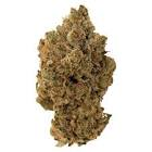 Pineapple Buds - Pineapple Haze - 14G