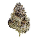 Valhalla Flwr - Pebble Punch - 14G