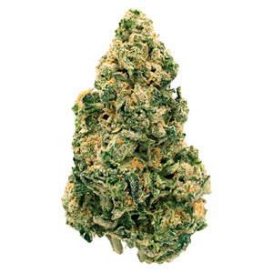 Back Forty - Galactic Jack - 7G