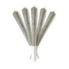 Choklit Park - Jamaican Pearl Prerolls - 2.5G
