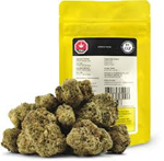 Bc Oz - Citrus City Og - 28G